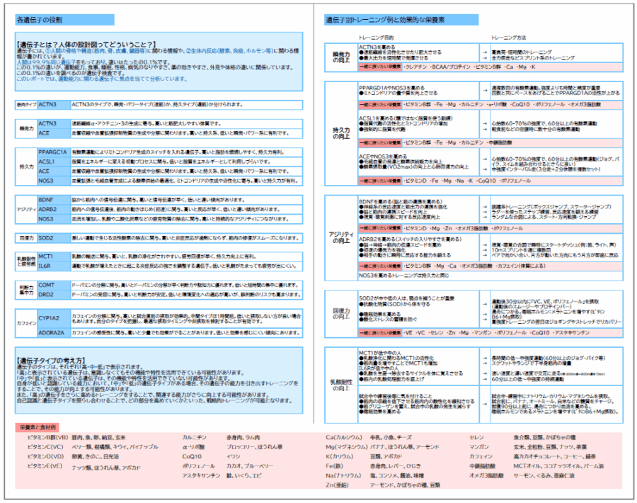 遺伝子検査chatGENEとアスリート用レポート2